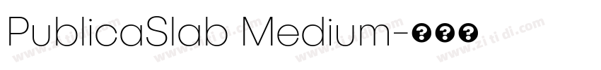 PublicaSlab Medium字体转换